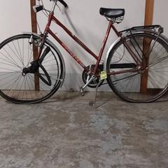 دراجة نسائية Runner Rood، كما تم الإبلاغ عنه بواسطة Fietsdepot Hasselt عبر iLost