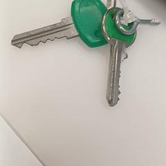 Klíč Vert, jak nahlášeno IKEA Clermont Ferrand pomocí iLost