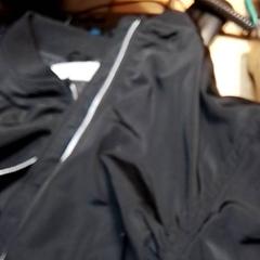 Bunda, ako bolo nahlásené Beekse Bergen Resorts en Hotel pomocou iLost