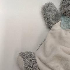 Titella & Manteta Gris, segons ha informat IKEA Clermont Ferrand mitjançant iLost