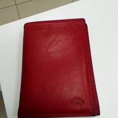 Wallet PEREIRA DA SILVA, as reported by ilévia using iLost