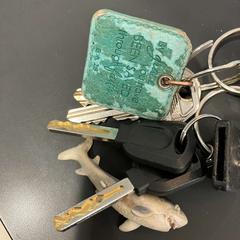 Klíčenka, jak nahlášeno Gemeente Ermelo pomocí iLost