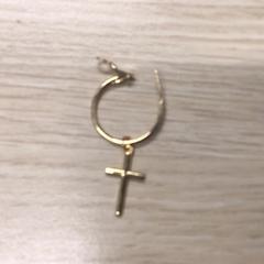 Kolczyk, zgłoszono przez Gemeente Arnhem przy użyciu iLost