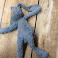 Peluix, segons ha informat IKEA Delft mitjançant iLost