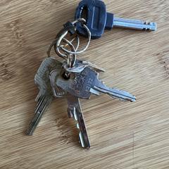 Sleutels, gerapporteerd met iLost