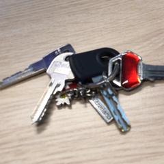 Sleutels, as reported by Gemeente Arnhem using iLost