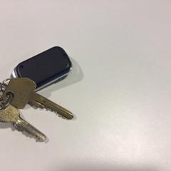 キーホルダー がiLostで Gemeente Veenendaal によって報告されました