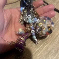 Sleutels gevonden Griftdijk Nijmegen-Noord a été signalé sur iLost