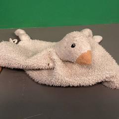 Plyšová facka, ako bolo nahlásené Diergaarde Blijdorp pomocou iLost