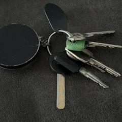 Sleutelbos, as reported to iLost