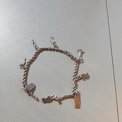 Armband, zoals gemeld door Madurodam met iLost