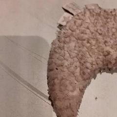 Speenkoord, amint azt De Efteling az iLost segítségével jelentette.