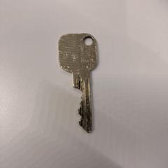 1 losse sleutel, as reported to iLost