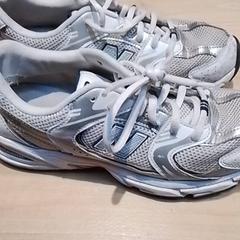 Zapato Wit, ha sido reportado por Beekse Bergen Resorts en Hotel con iLost