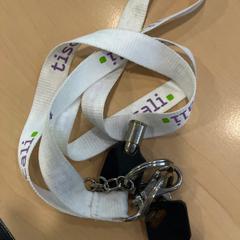 Sleutels, ha sido reportado por Jaarbeurs con iLost