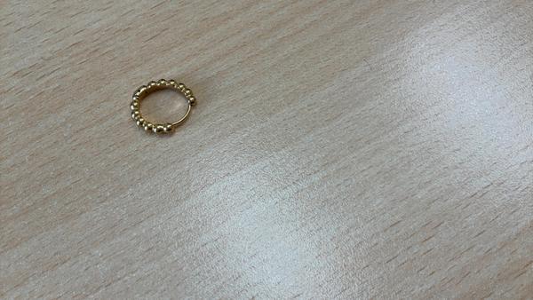 Earring