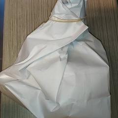 Väska - papieren Draagtas, rapporterat av Regio Antwerpen - Brussel med iLost