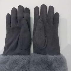 Guantes Grijs, ha sido reportado por Arriva Limburg Zuid con iLost