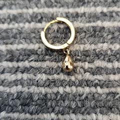 Náušnica, ako bolo nahlásené Pathé Delft pomocou iLost