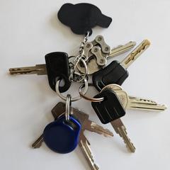 Sleutelbos، كما تم الإبلاغ عنه عبر iLost