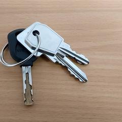 Gakoa, gisa salatu by Centraal magazijn iLost erabiliz