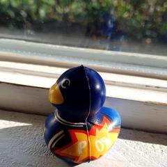 Spielzeug Eendje, gemeldet von DierenPark Amersfoort über iLost