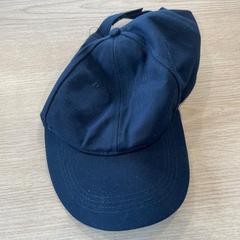 Kappe donker blauw, som rapportert av Van Heugten Tours ved bruk av iLost