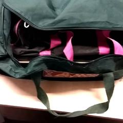 Bag, as reported by RET using iLost