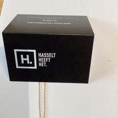 Nyaklánc Goudkleurig met hangertje, amint azt Stad Hasselt az iLost segítségével jelentette.