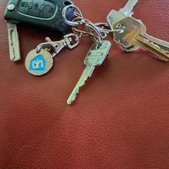 Sleutelbos, ha sido reportado a iLost