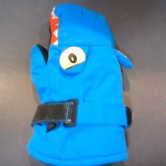 Gants, a été signalé par SnowWorld Landgraaf utilisant iLost