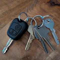 Bos sleutels, ha sido reportado a iLost