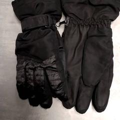 Gloves Zwart, as reported by Arriva Friesland / Groningen using iLost