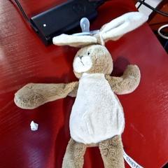 Kuddiga slag Lapin Maron blanc, rapporterat av IKEA Paris - Plaisir med iLost