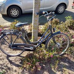 Bike Gazelle blauw, as reported by Fietsdepot Meierijstad using iLost