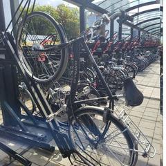 Bicicletta Batavus zwart, come riportato da Gemeente Barneveld utilizzando iLost