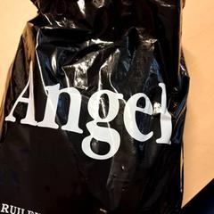 Tote bag, as reported by RET using iLost