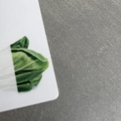 Bisita txartela, gisa salatu by Arriva Achterhoek-Rivierenland iLost erabiliz