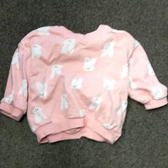 Genser Roze konijntjes, som rapportert av Burgers' Zoo ved bruk av iLost