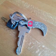 Sleutelbos, ha sido reportado a iLost