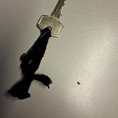 家の鍵 がiLostで St. Antonius Ziekenhuis Nieuwegein によって報告されました