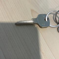 Key, as reported by Gemeente Wijk bij Duurstede using iLost