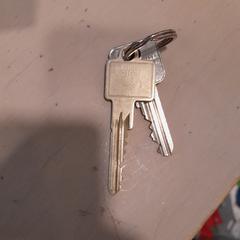 İLost kullanarak Hortus Botanicus Amsterdam tarafından bildirildiği gibi Sleutels