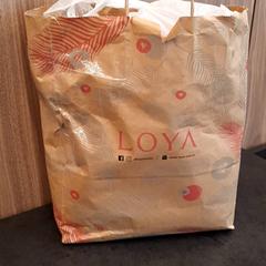 Bag, as reported by Rotterdam The Hague Airport using iLost