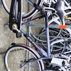 Gizonezkoen bizikleta Altra, gisa salatu by Stadswerk072 iLost erabiliz