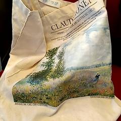 Sac, a été signalé par Syntus Provincie Utrecht utilisant iLost