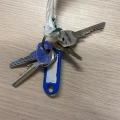 Nøkkelkasse med nøkler, som rapportert av Gemeente Arnhem ved bruk av iLost