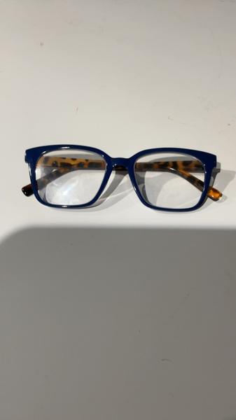 Betaurrekoak Blue brown