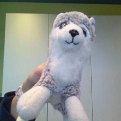 Cuddly toy, as reported by MEININGER Hotel Lyon Centre Berthelot using iLost