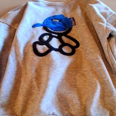 Svetr Grijs, jak nahlášeno Familiepark Drievliet pomocí iLost